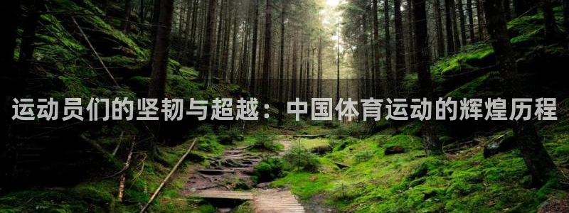 24体育直播网官网：运动员们的坚韧与超越：中国体育运动的辉煌历程