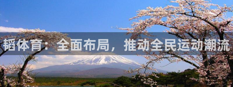24体育app下载安装：韬体育：全面布局，推动全民运动潮流