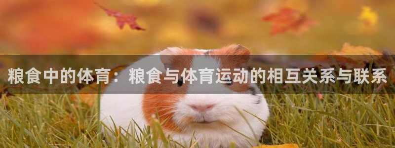 24体育赛事直播网：粮食中的体育：粮食与体育运动的相互关系与联系