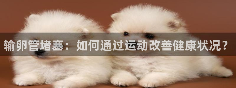 24体育高清免费直播：输卵管堵塞：如何通过运动改善健康状况？