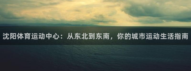 24体育赛事直播网：沈阳体育运动中心：从东北到东南，你的城市运动生活指南