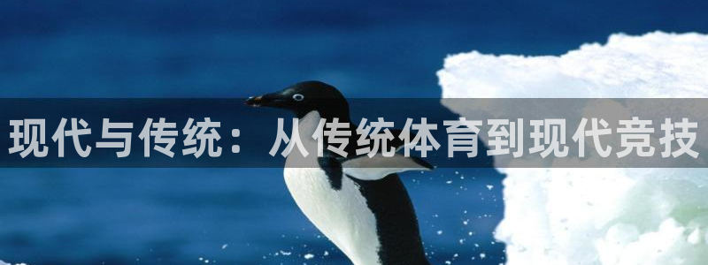 24体育直播免费观看高清：现代与传统：从传统体育到现代竞技