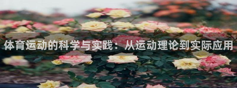 24体育赛事直播NBA直播：体育运动的科学与实践：从运动理论到实际应用